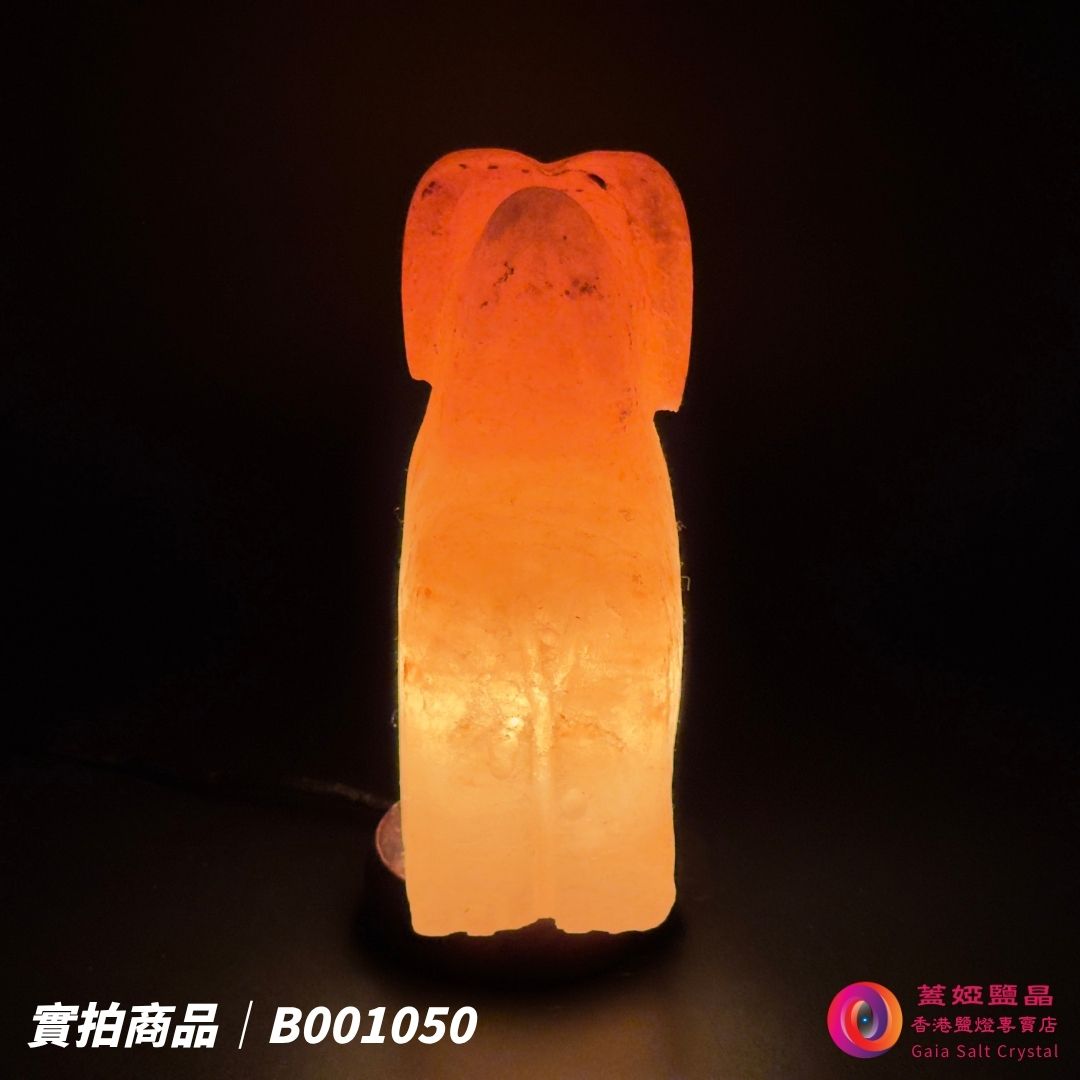 蓋婭鹽晶 玫瑰鹽狗來富貴造型鹽燈 B001050，正面點燈