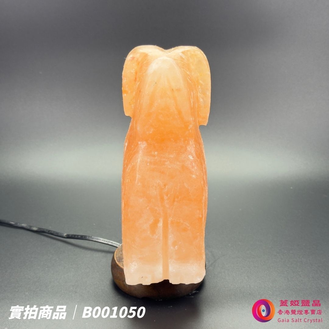 蓋婭鹽晶 玫瑰鹽狗來富貴造型鹽燈 B001050，正面未點燈