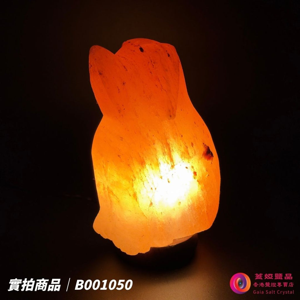 蓋婭鹽晶 玫瑰鹽狗來富貴造型鹽燈 B001050，側面點燈