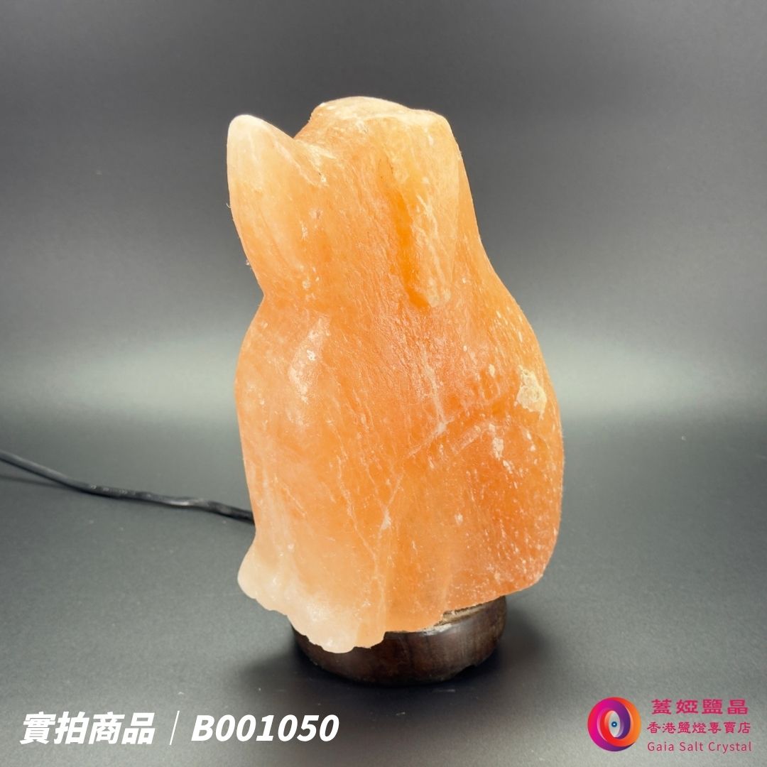 蓋婭鹽晶 玫瑰鹽狗來富貴造型鹽燈 B001050，側面未點燈