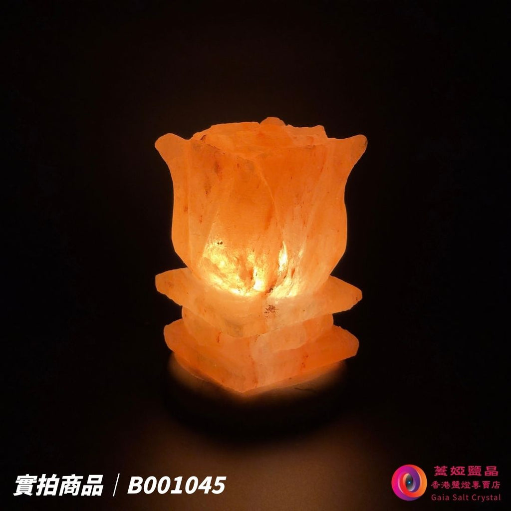 蓋婭鹽晶 玫瑰鹽花台造型鹽燈 B001045，正面點燈