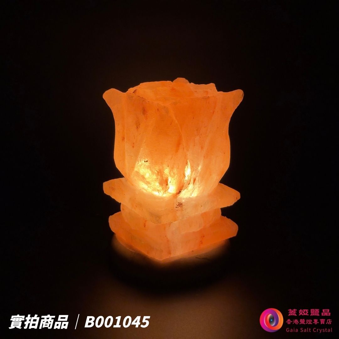 蓋婭鹽晶 玫瑰鹽花台造型鹽燈 B001045，正面點燈