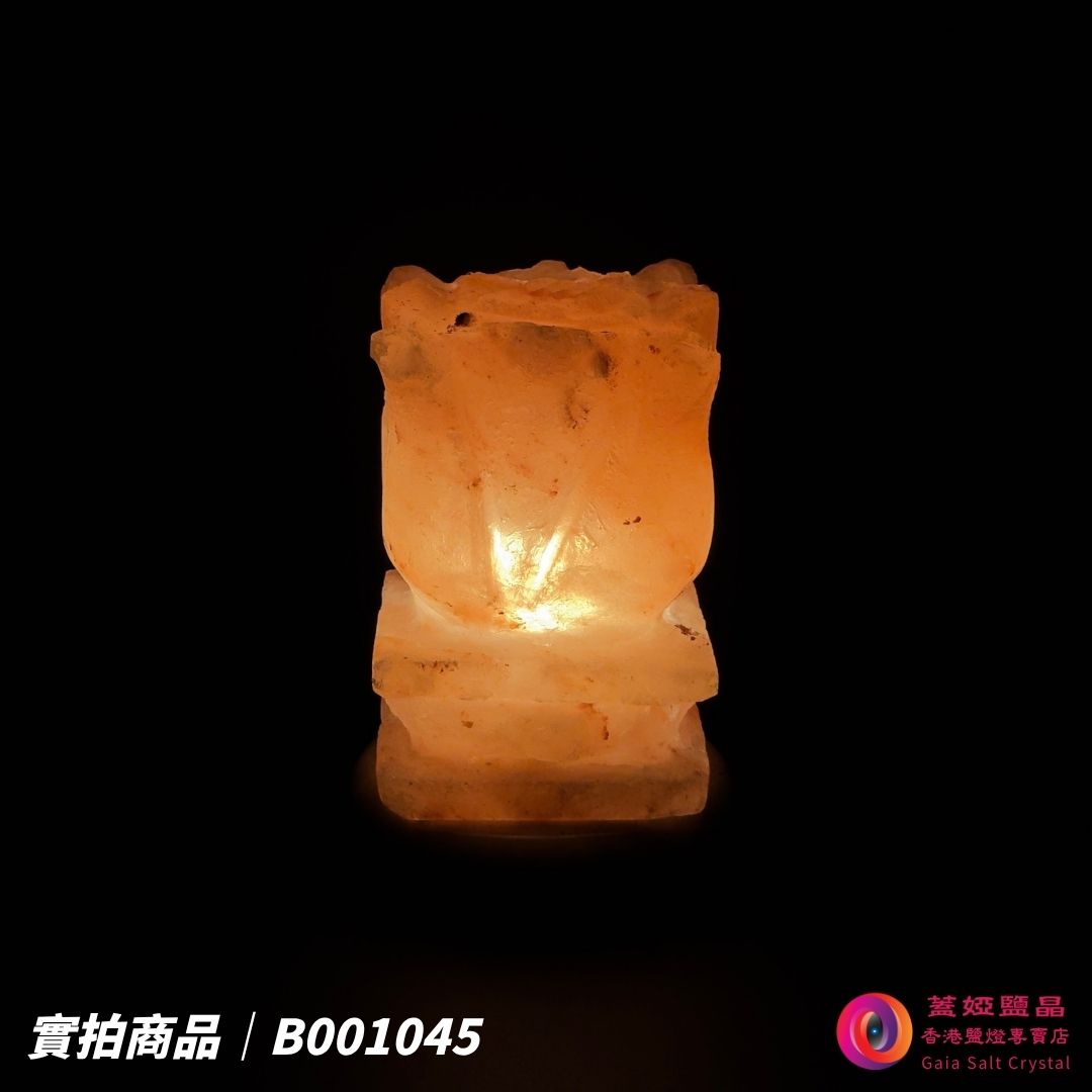 蓋婭鹽晶 玫瑰鹽花台造型鹽燈 B001045，側面點燈