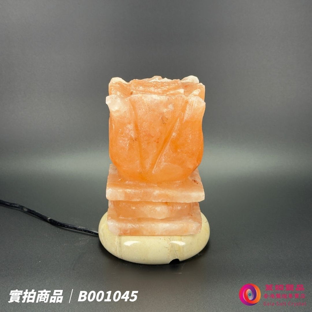 蓋婭鹽晶 玫瑰鹽花台造型鹽燈 B001045，側面未點燈