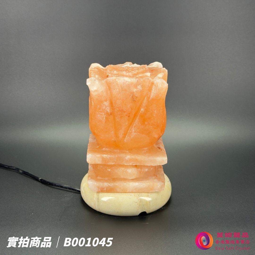 蓋婭鹽晶 玫瑰鹽花台造型鹽燈 B001045，側面未點燈