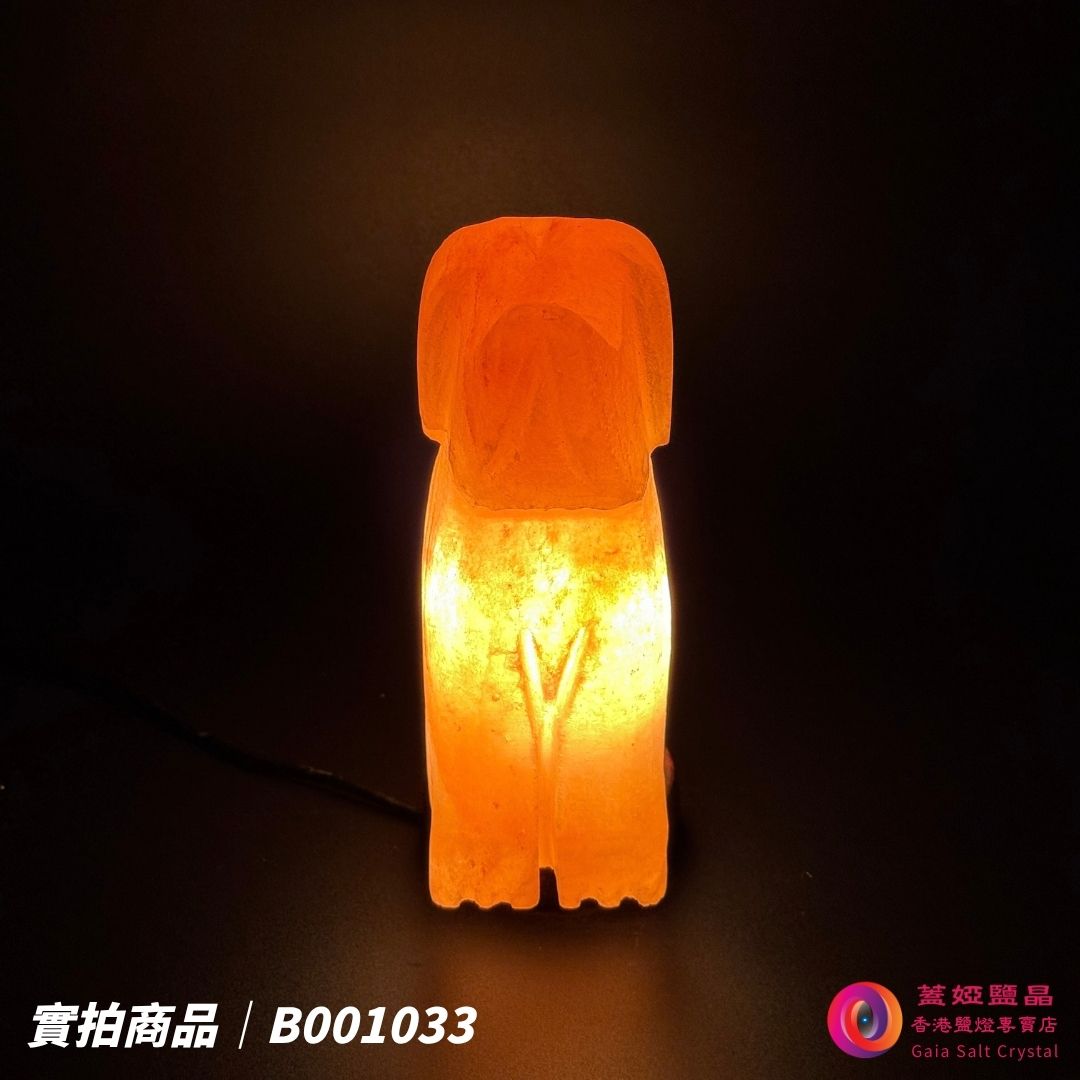 蓋婭鹽晶 玫瑰鹽狗來富貴造型鹽燈 B001033，正面點燈
