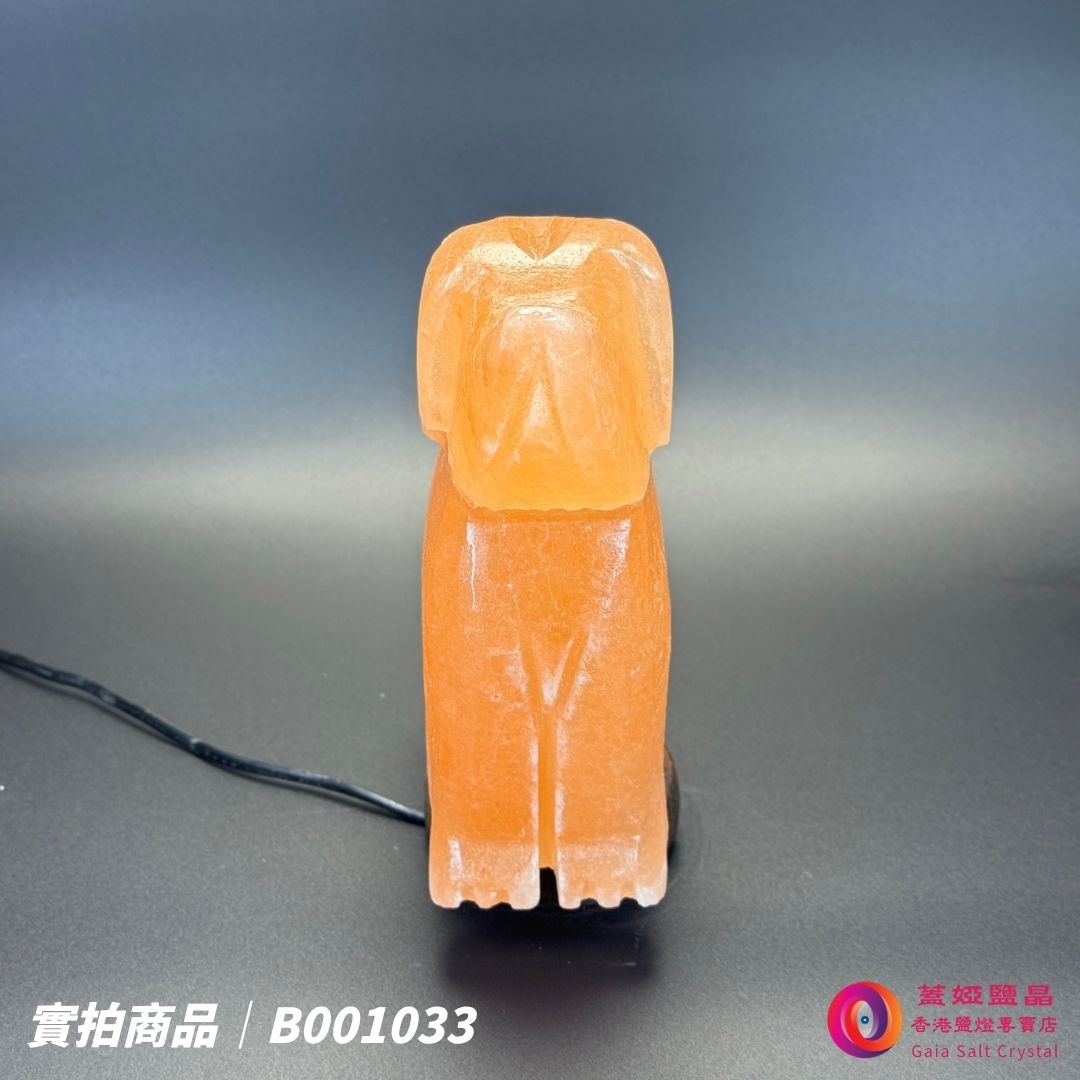 蓋婭鹽晶 玫瑰鹽狗來富貴造型鹽燈 B001033，正面未點燈