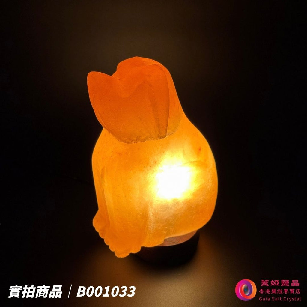 蓋婭鹽晶 玫瑰鹽狗來富貴造型鹽燈 B001033，側面點燈