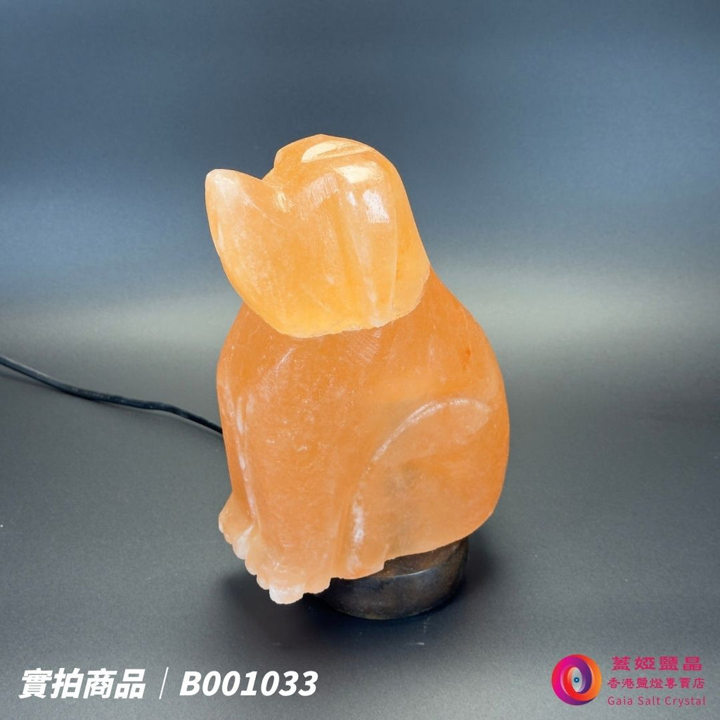 蓋婭鹽晶 玫瑰鹽狗來富貴造型鹽燈 B001033，側面未點燈