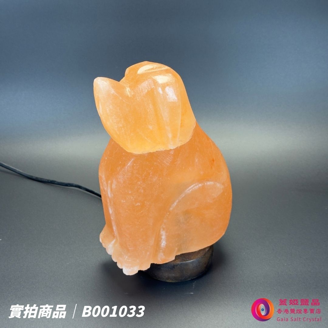 蓋婭鹽晶 玫瑰鹽狗來富貴造型鹽燈 B001033，側面未點燈