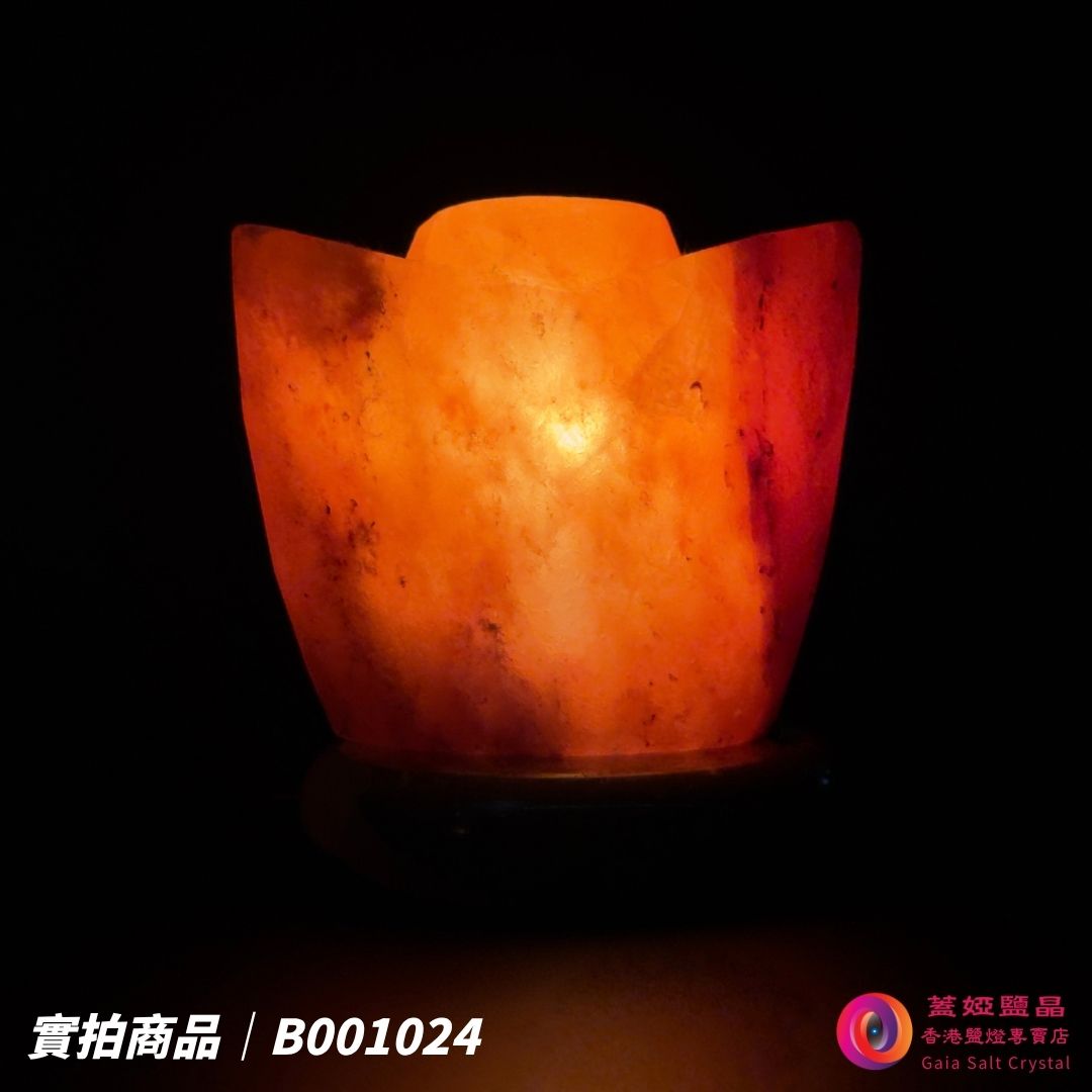 蓋婭鹽晶 紅晶鹽金元寶造型鹽燈 B001024，正面點燈