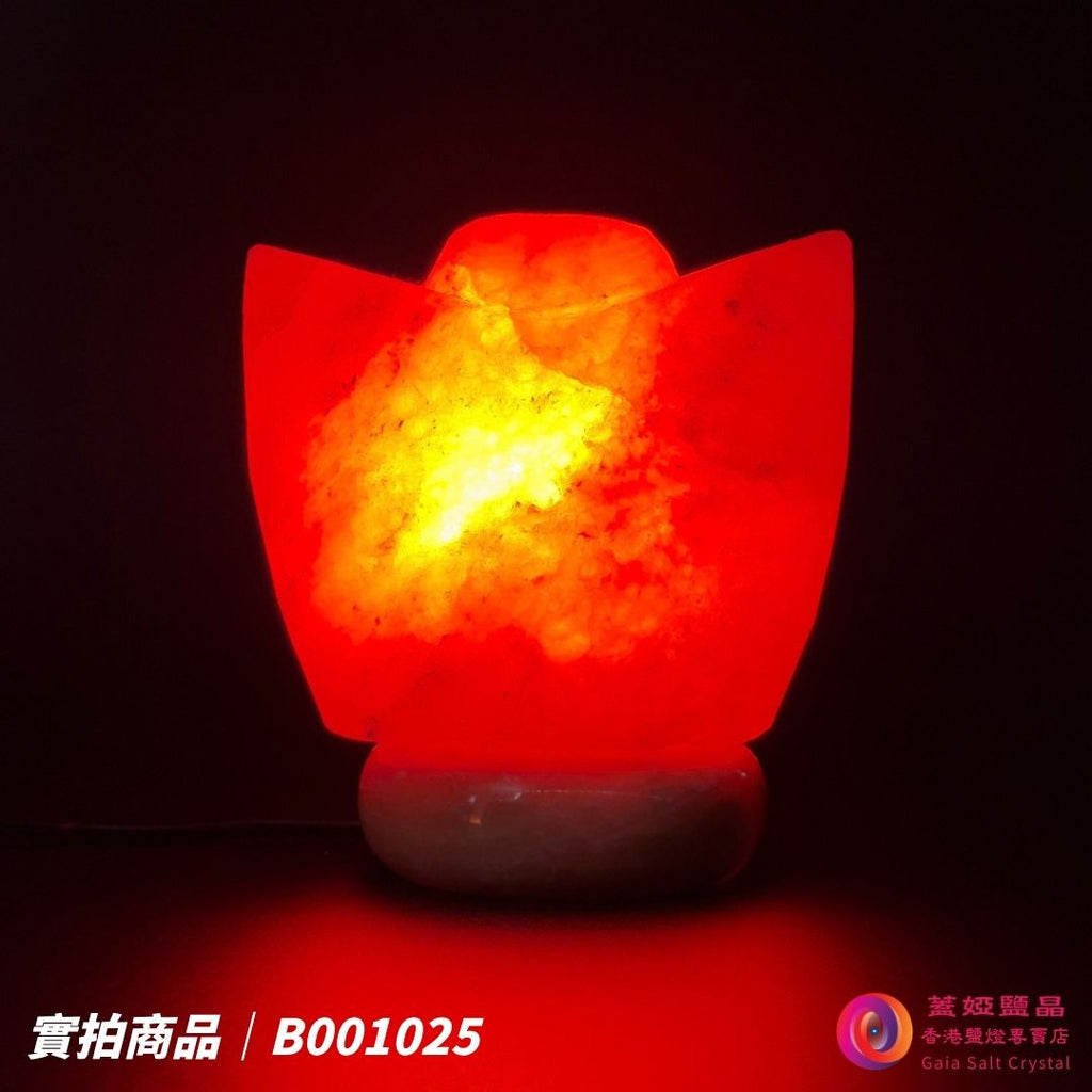 蓋婭鹽晶 紅晶鹽金元寶造型鹽燈 B001025，正面點燈