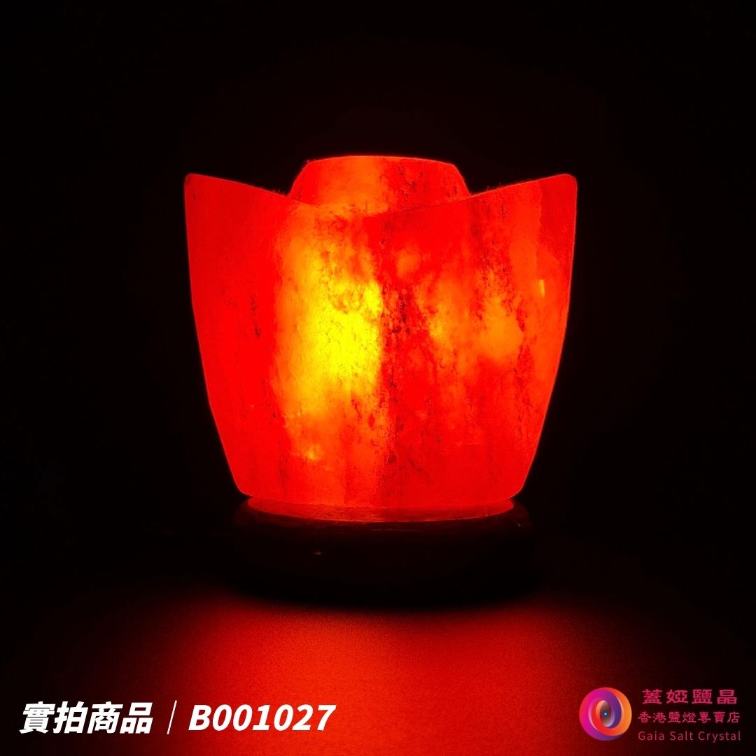 蓋婭鹽晶 紅晶鹽金元寶造型鹽燈 B001027，正面點燈