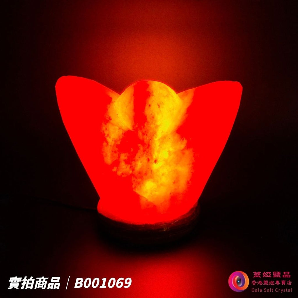 蓋婭鹽晶 紅晶鹽金元寶造型鹽燈 B001069，正面點燈