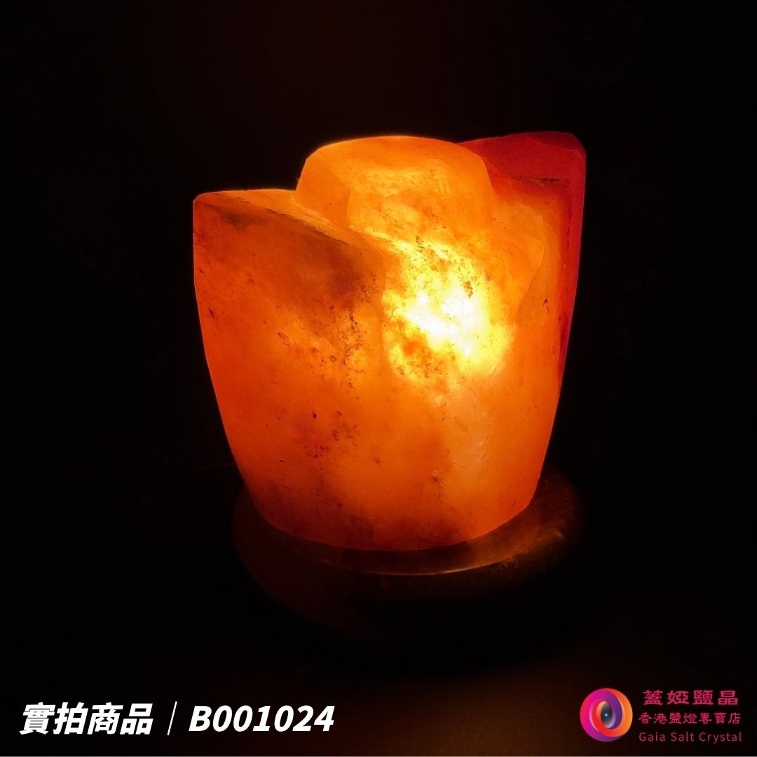 蓋婭鹽晶 紅晶鹽金元寶造型鹽燈 B001024，側面點燈