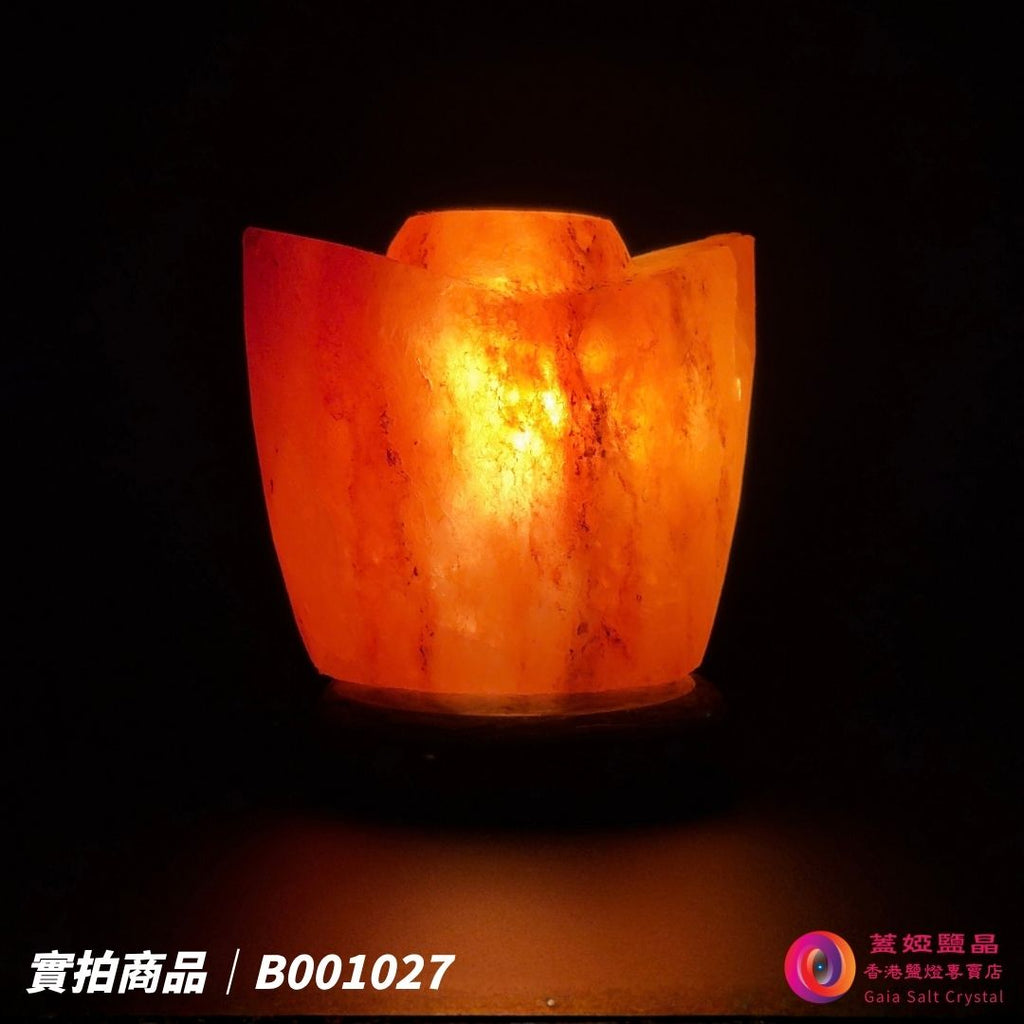 蓋婭鹽晶 紅晶鹽金元寶造型鹽燈 B001027，側面點燈