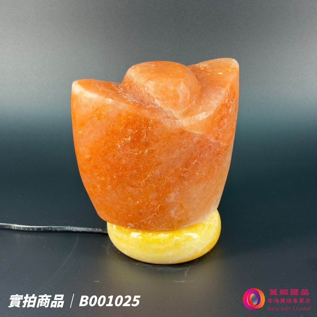 蓋婭鹽晶 紅晶鹽金元寶造型鹽燈 B001025，側面未點燈