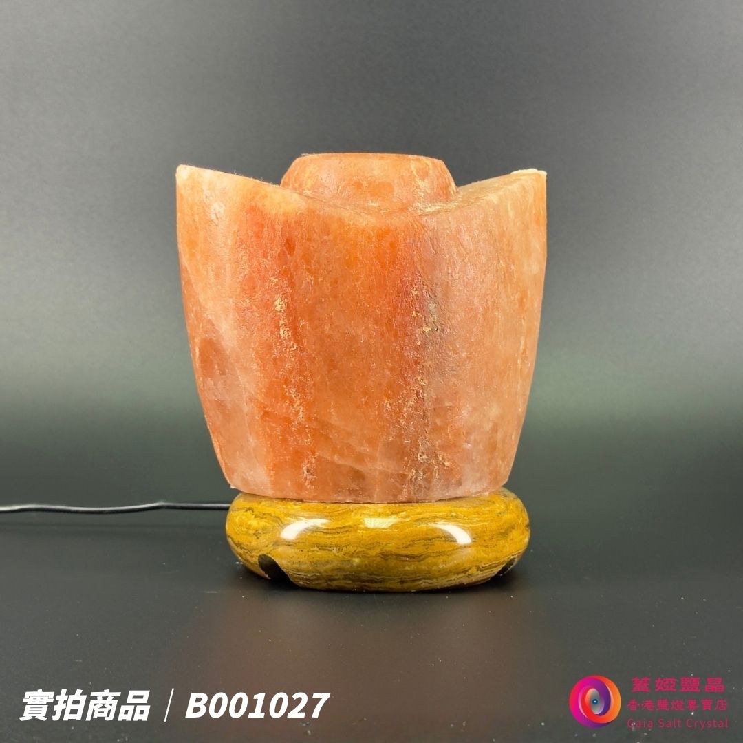 蓋婭鹽晶 紅晶鹽金元寶造型鹽燈 B001027，側面未點燈