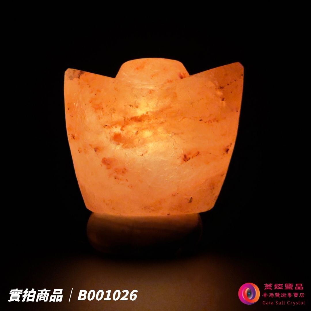 蓋婭鹽晶 玫瑰鹽金元寶造型鹽燈 B001026，正面點燈
