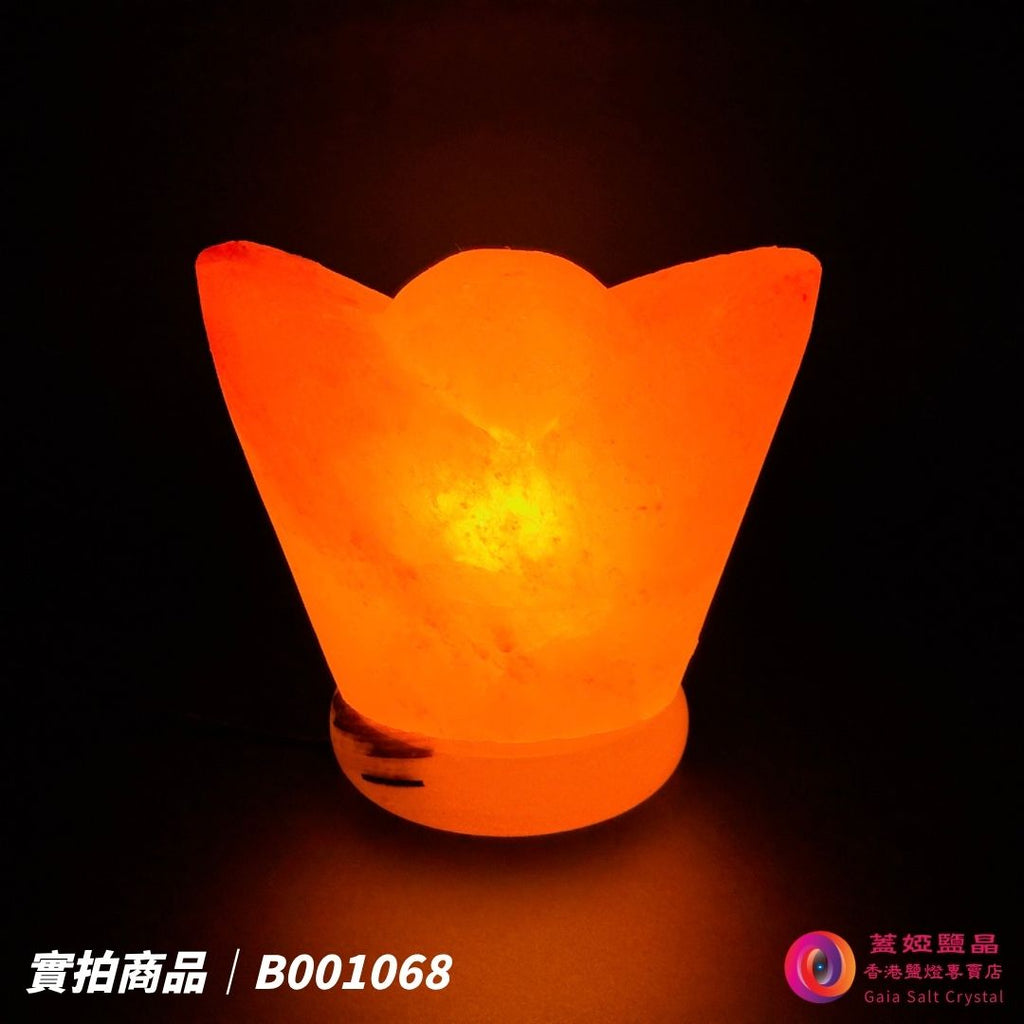 蓋婭鹽晶 玫瑰鹽金元寶造型鹽燈 B001068，正面點燈