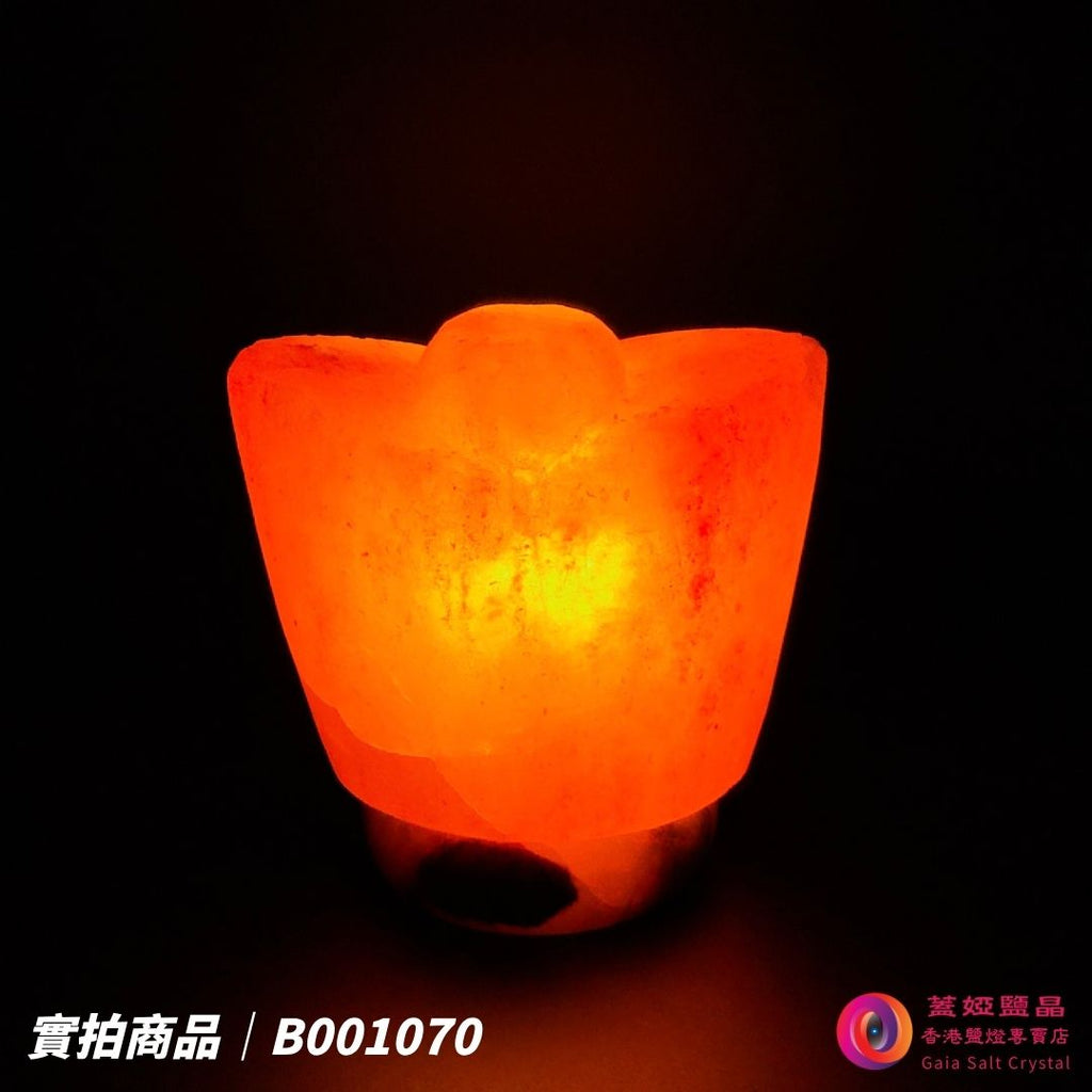 蓋婭鹽晶 玫瑰鹽金元寶造型鹽燈 B001070，正面點燈
