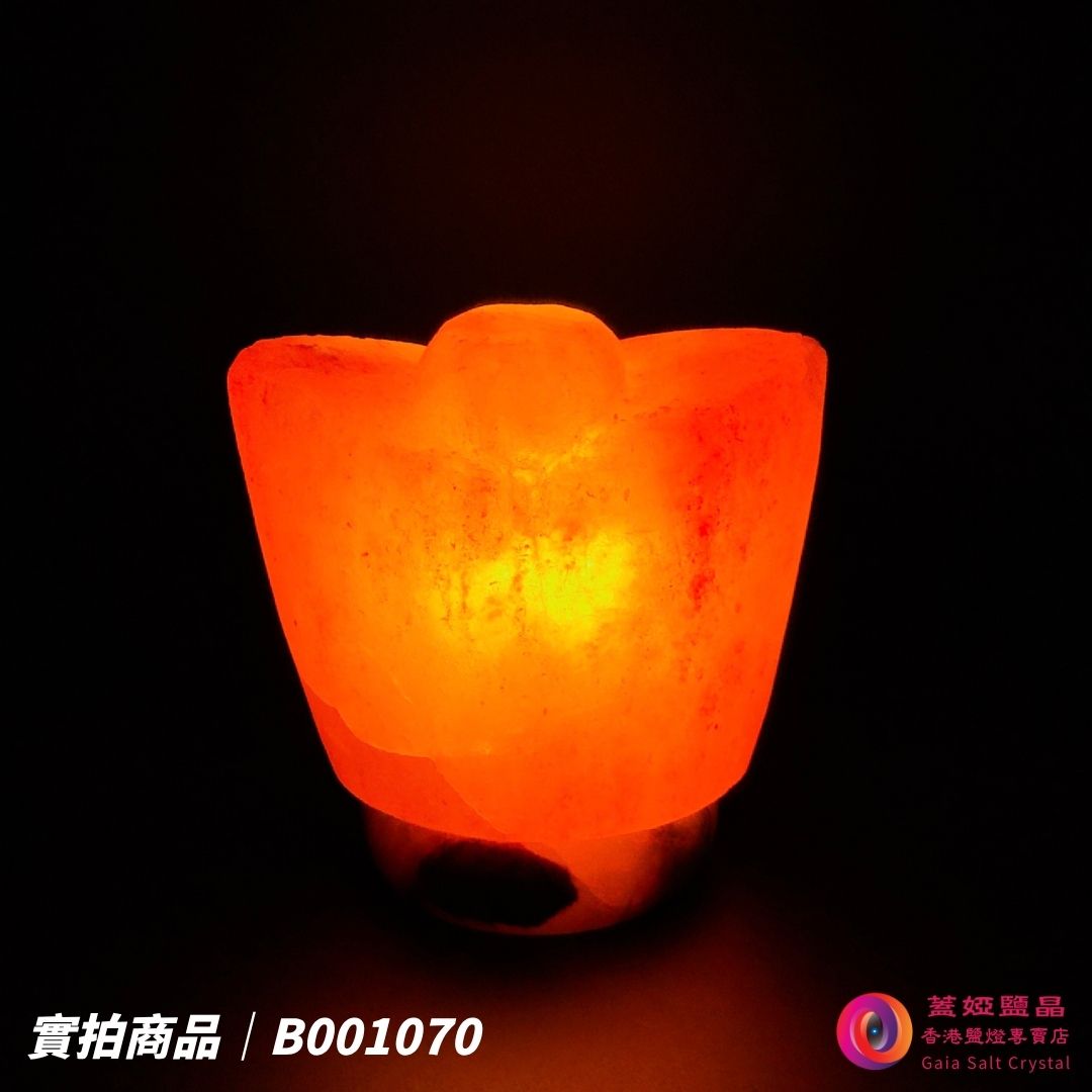 蓋婭鹽晶 玫瑰鹽金元寶造型鹽燈 B001070，正面點燈