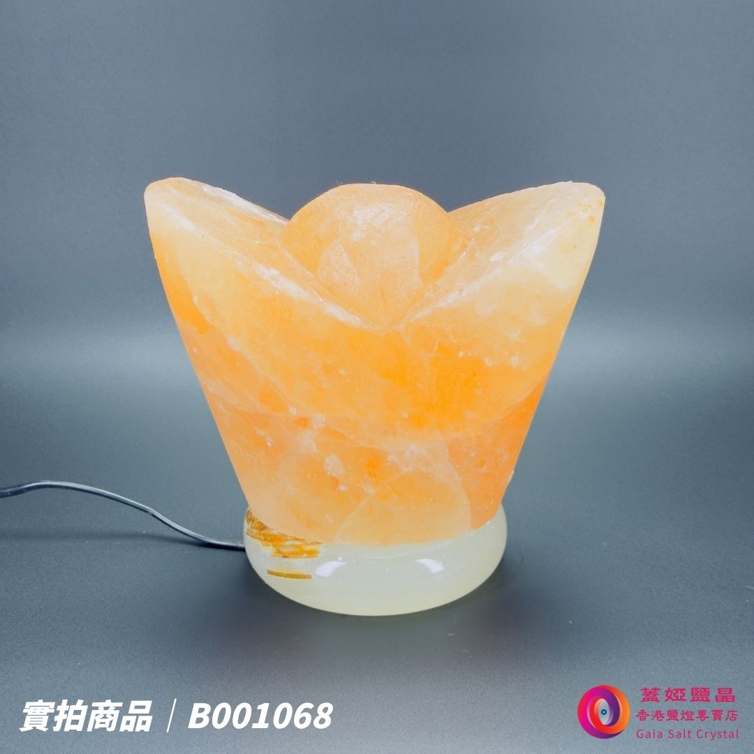 蓋婭鹽晶 玫瑰鹽金元寶造型鹽燈 B001068，正面未點燈