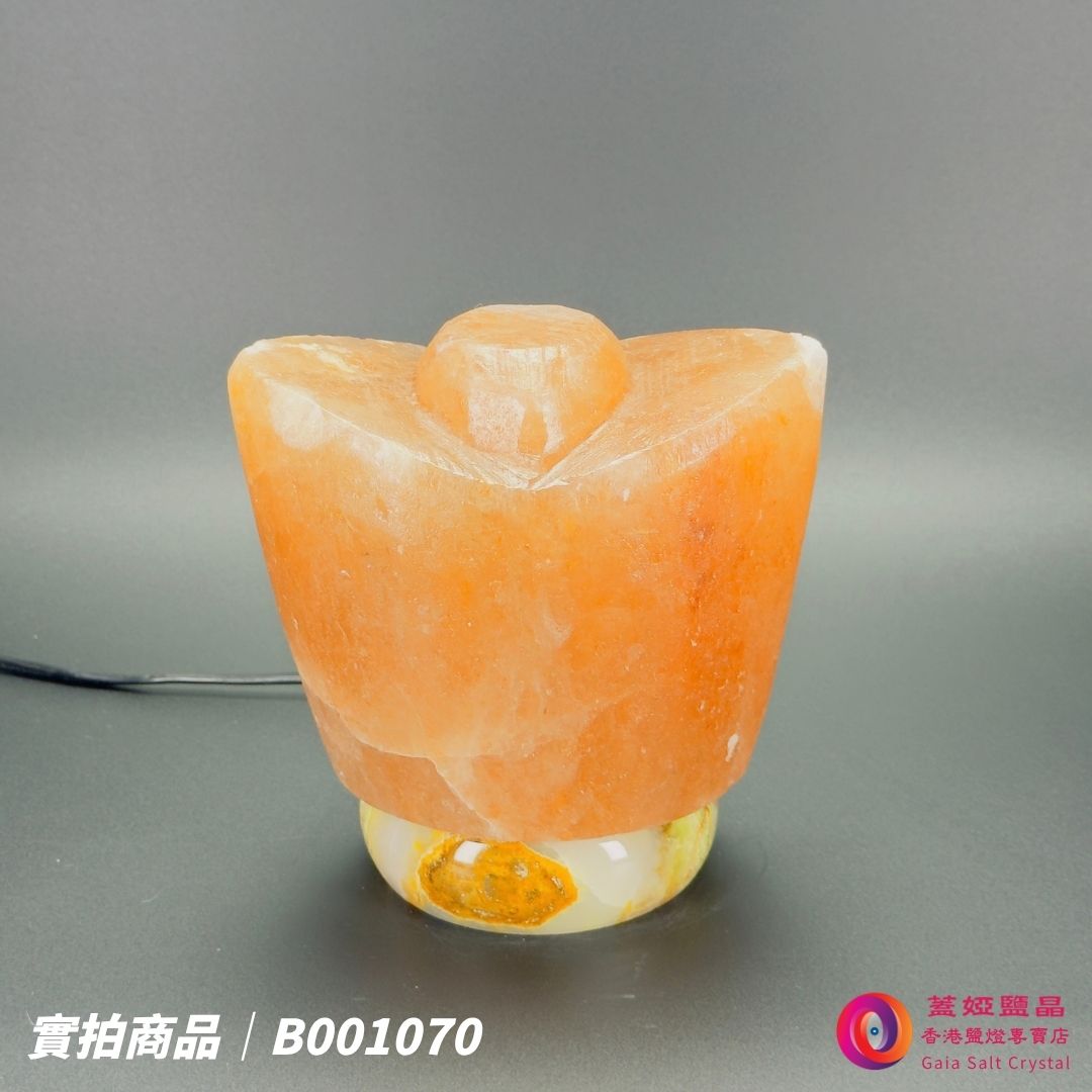 蓋婭鹽晶 玫瑰鹽金元寶造型鹽燈 B001070，正面未點燈