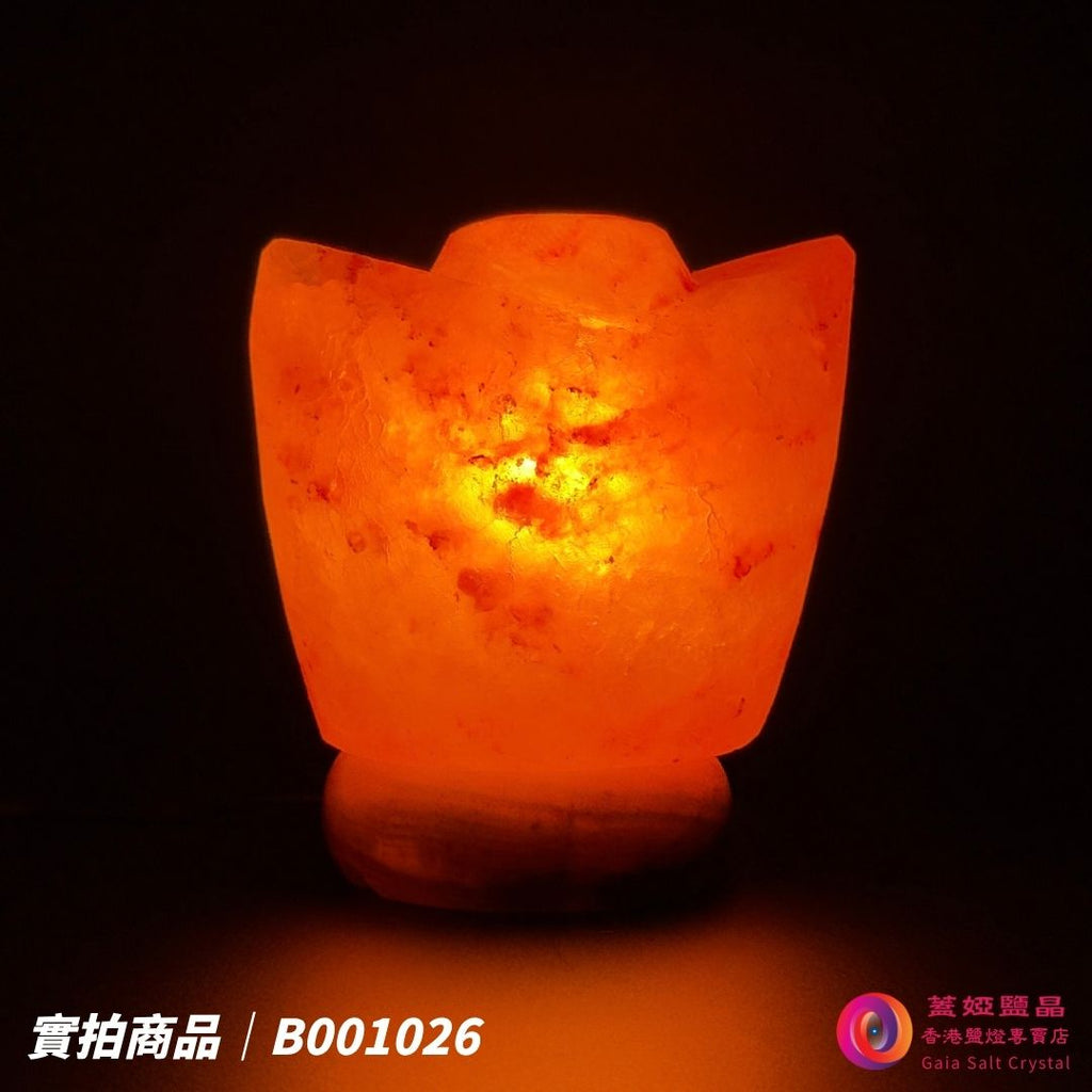 蓋婭鹽晶 玫瑰鹽金元寶造型鹽燈 B001026，側面點燈