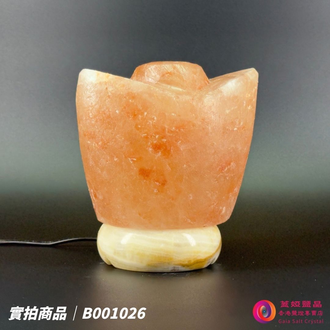 蓋婭鹽晶 玫瑰鹽金元寶造型鹽燈 B001026，側面未點燈