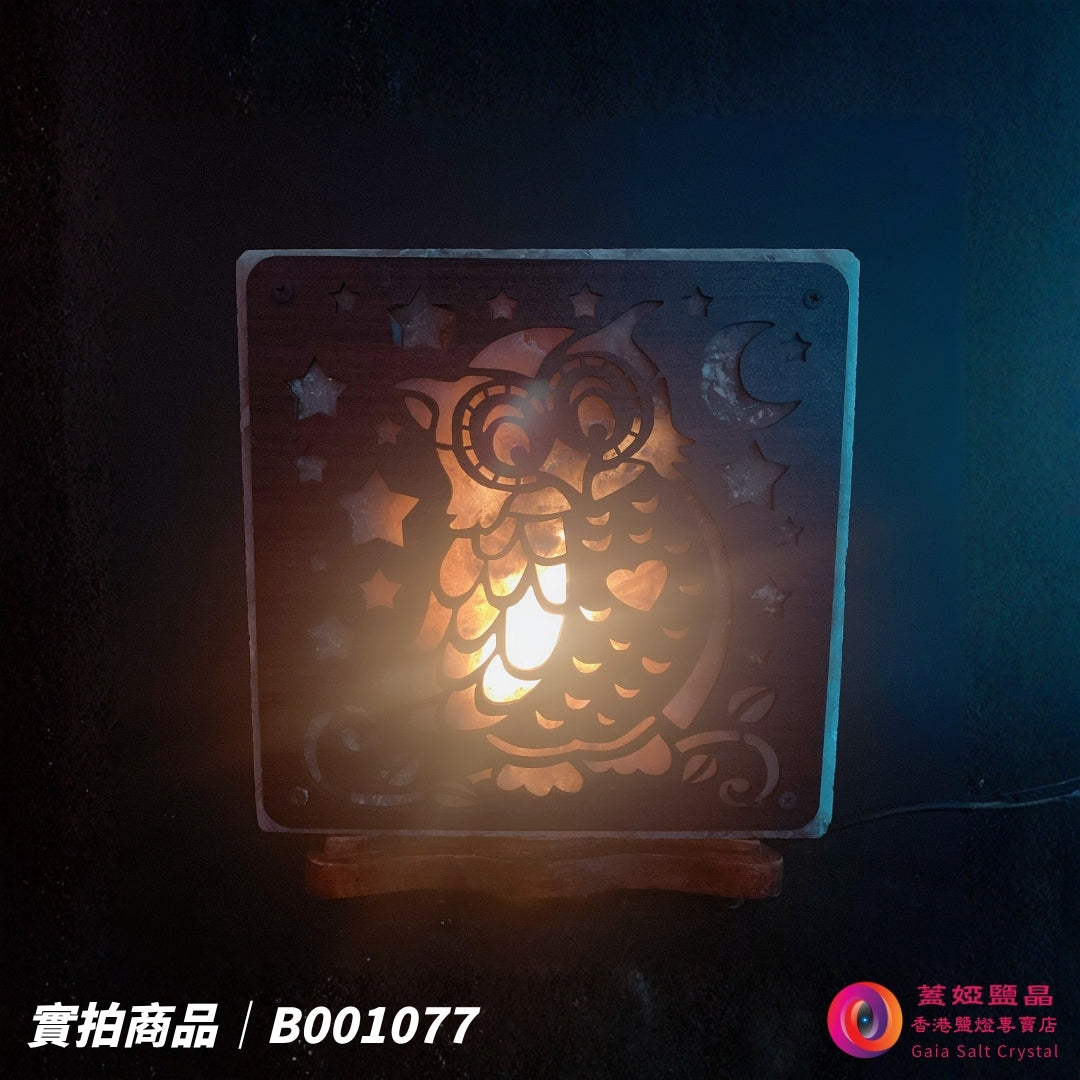 蓋婭鹽晶 灰藍鹽貓頭鷹造型鹽燈 B001077，正面點燈