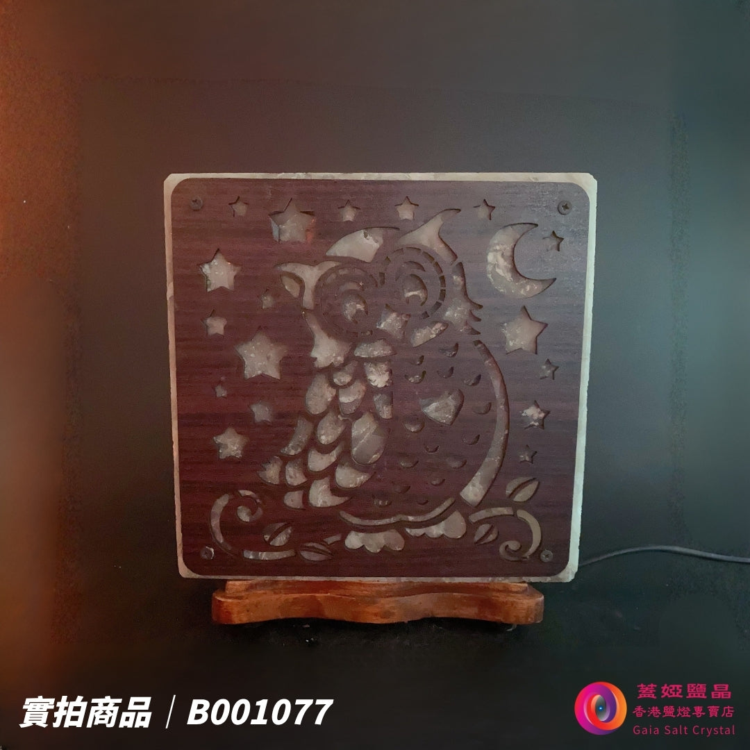 蓋婭鹽晶 灰藍鹽貓頭鷹造型鹽燈 B001077，正面未點燈