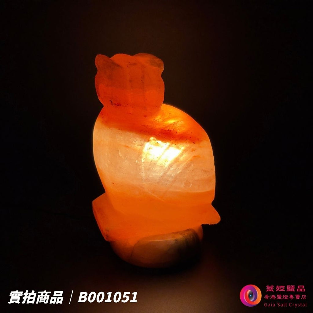 蓋婭鹽晶 玫瑰鹽貓頭鷹造型鹽燈 B001051，正面點燈