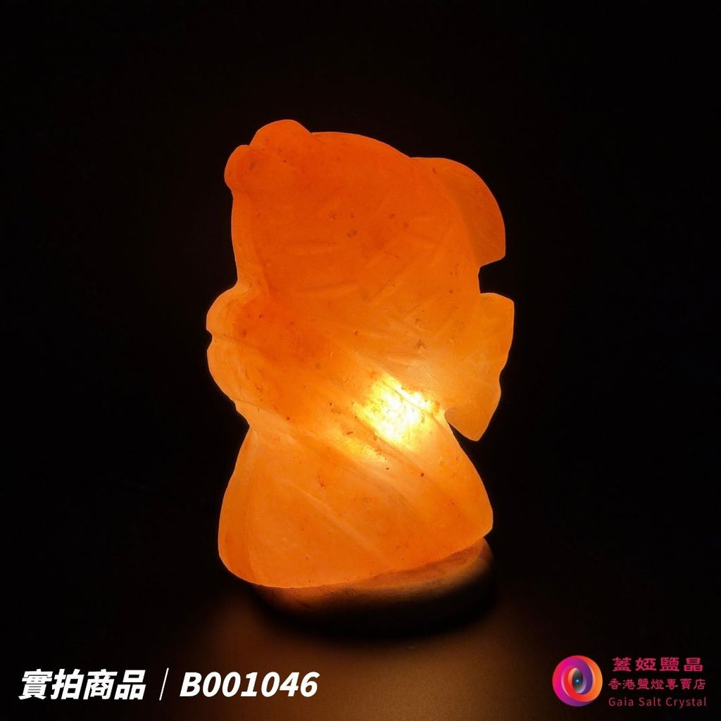 蓋婭鹽晶 玫瑰鹽年年有餘造型鹽燈 B001046，正面點燈