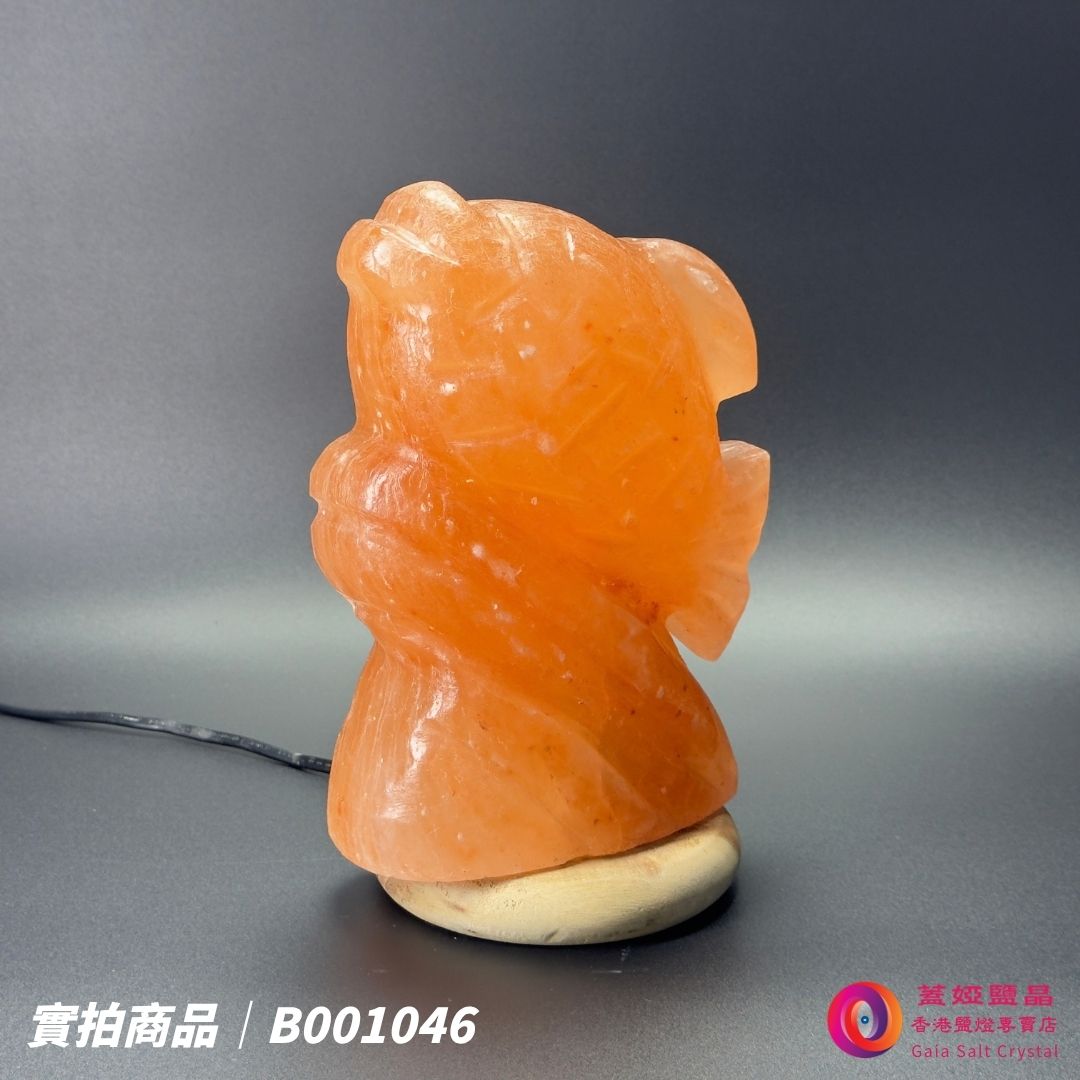 蓋婭鹽晶 玫瑰鹽年年有餘造型鹽燈 B001046，正面未點燈