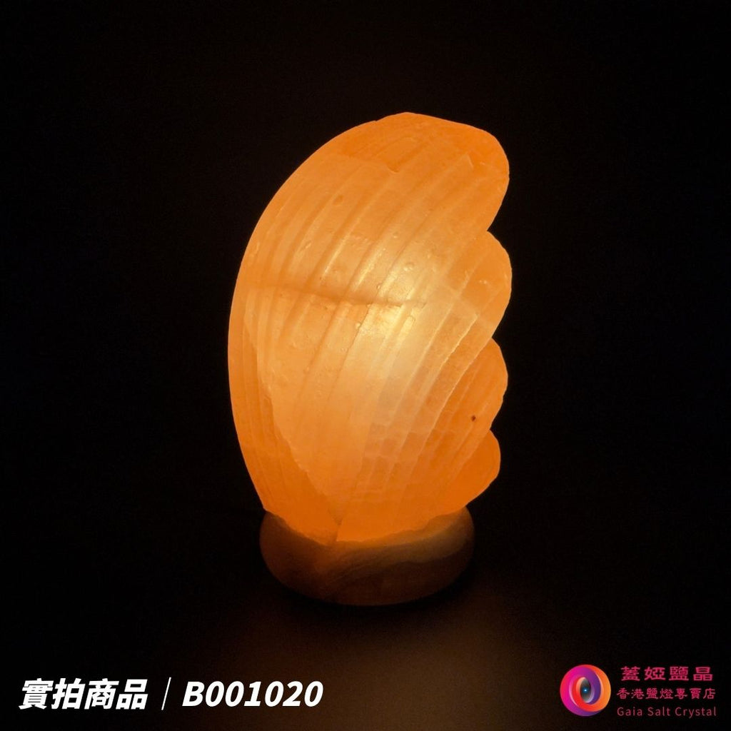 蓋婭鹽晶 玫瑰鹽貝殼造型鹽燈 B001020，正面點燈