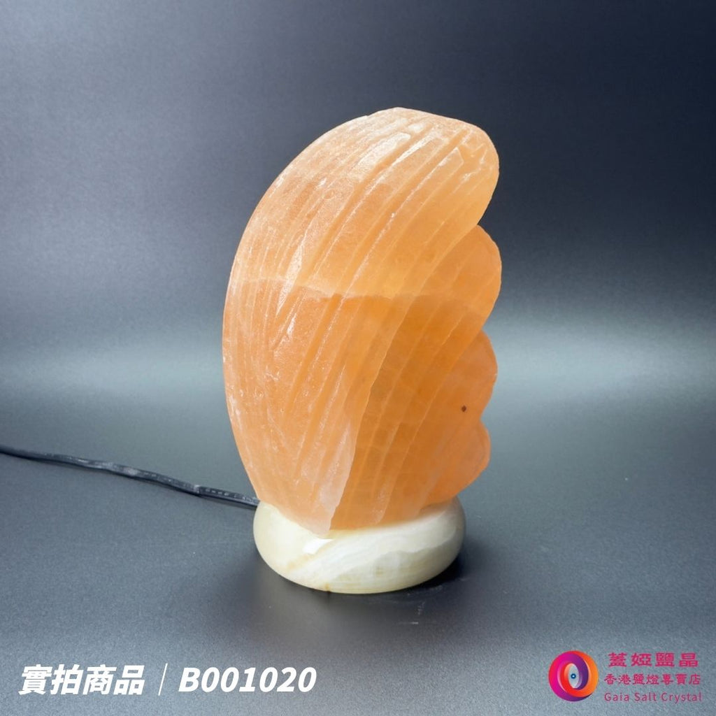 蓋婭鹽晶 玫瑰鹽貝殼造型鹽燈 B001020，正面未點燈