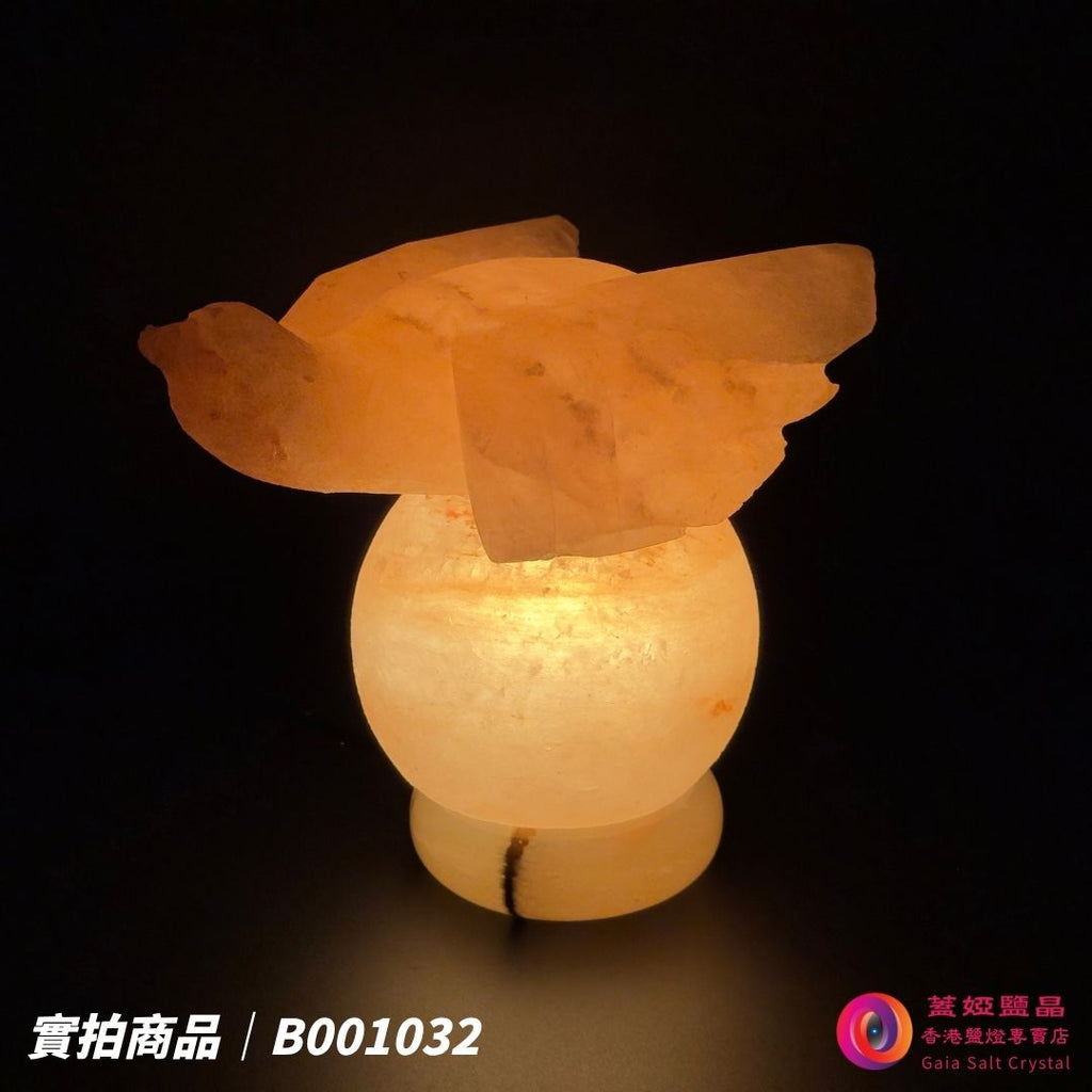 蓋婭鹽晶 玫瑰鹽展翅高飛造型鹽燈 B001032，正面點燈